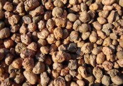 Применение керамзитного гравия